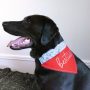 Best Dog Ever Canvas Slip-On Pet Bandana – Pavilion’s Pets – 7″x5″